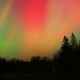 Illustration for article titled The northern lights could be headed south to a night sky near you